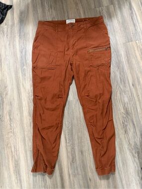 REI Cooperative Men's Rust Orange Cargo Pants
